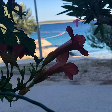 Croatia Mandre Apartment Ngoại thất bức ảnh